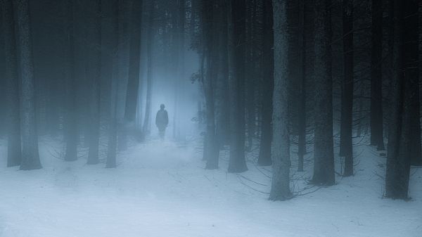 foggy forest, man, snow Wallpaper 7680x4320
