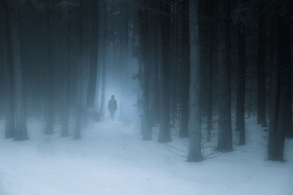 foggy forest, man, snow Wallpaper 9504x6336