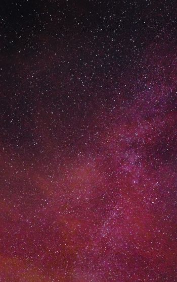 starry sky, night Wallpaper 1752x2800
