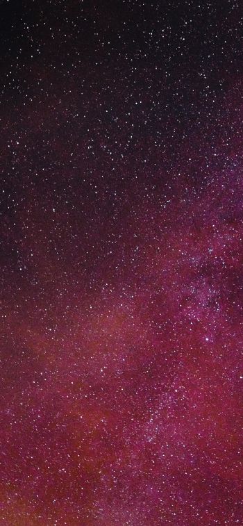 starry sky, night Wallpaper 1125x2436