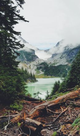 mountains, forest, lake, clouds Wallpaper 600x1024