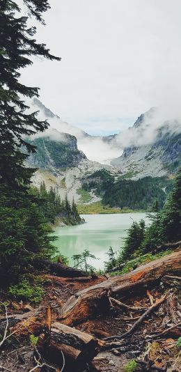 mountains, forest, lake, clouds Wallpaper 1440x2960