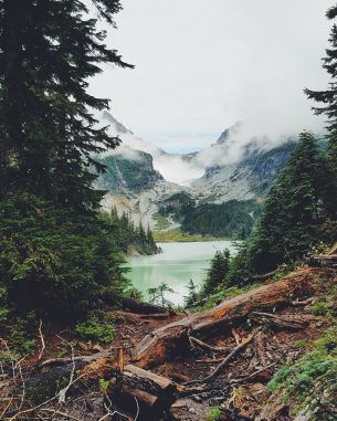 mountains, forest, lake, clouds Wallpaper 3024x3780