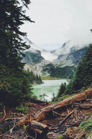 mountains, forest, lake, clouds Wallpaper 640x960