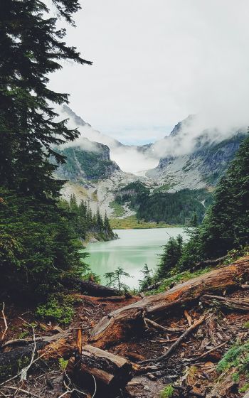 mountains, forest, lake, clouds Wallpaper 800x1280