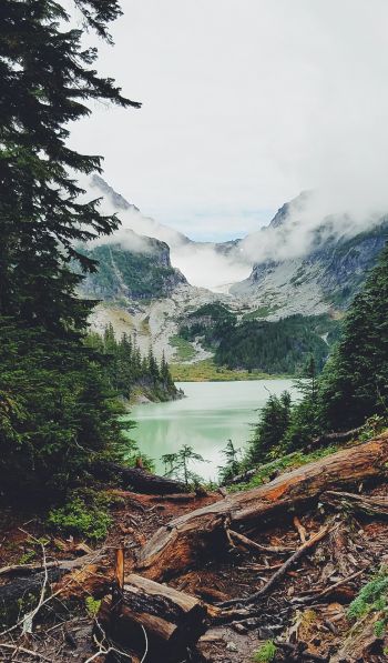 mountains, forest, lake, clouds Wallpaper 600x1024