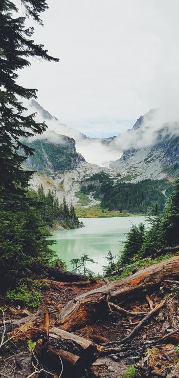 mountains, forest, lake, clouds Wallpaper 1080x2280