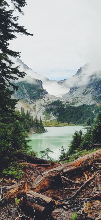 mountains, forest, lake, clouds Wallpaper 1284x2778