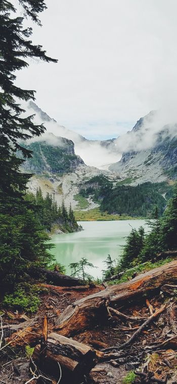 mountains, forest, lake, clouds Wallpaper 1080x2340