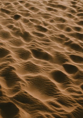Обои 1668x2388 песок, пустыня