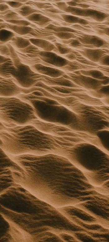 sand, desert Wallpaper 1440x3200