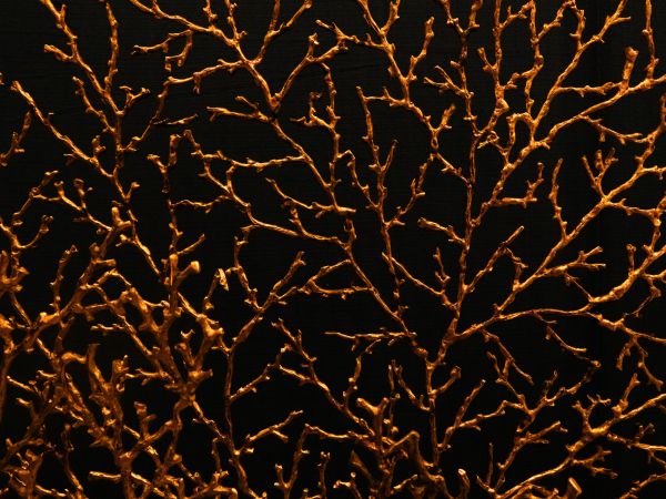 pattern, branch Wallpaper 1024x768