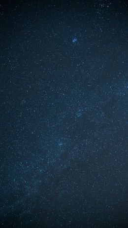 starry night Wallpaper 750x1334