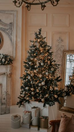 christmas, Christmas tree Wallpaper 640x1136