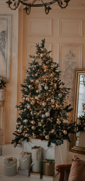 christmas, Christmas tree Wallpaper 1440x3040