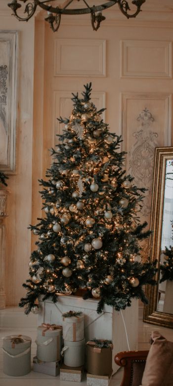 christmas, Christmas tree Wallpaper 1440x3200