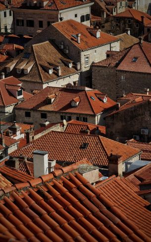 roofs Wallpaper 1752x2800