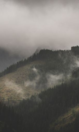 Ždiar, Slovakia, fog Wallpaper 1200x2000