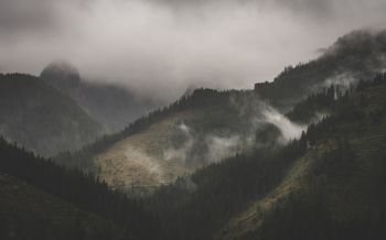 Ždiar, Slovakia, fog Wallpaper 2560x1600