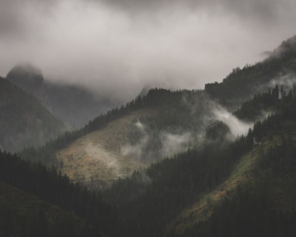 Ždiar, Slovakia, fog Wallpaper 1280x1024