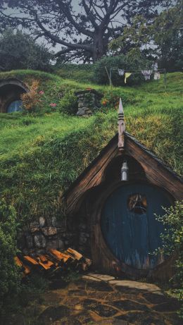 the hobbit, adventures Wallpaper 640x1136