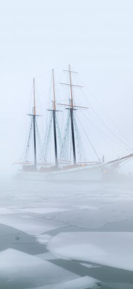 toronto, Canada, ship Wallpaper 1080x2340