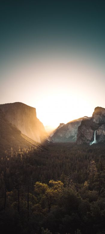 Yosemite Valley, USA Wallpaper 1440x3200