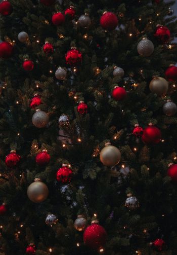 christmas balls, Christmas tree Wallpaper 1640x2360