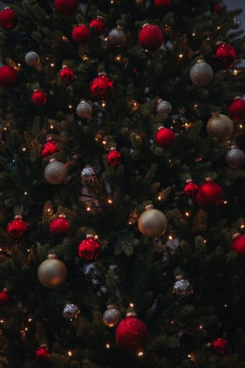 christmas balls, Christmas tree Wallpaper 640x960