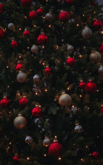 christmas balls, Christmas tree Wallpaper 800x1280