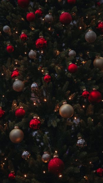 christmas balls, Christmas tree Wallpaper 1440x2560
