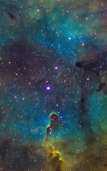Обои 800x1280 звезды, очертание, астрономия