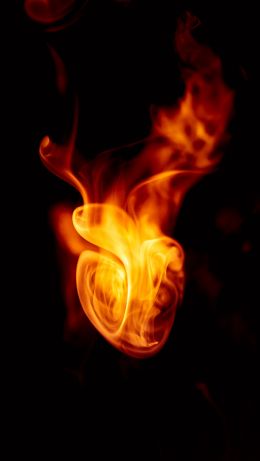 flame, bright, fire Wallpaper 640x1136