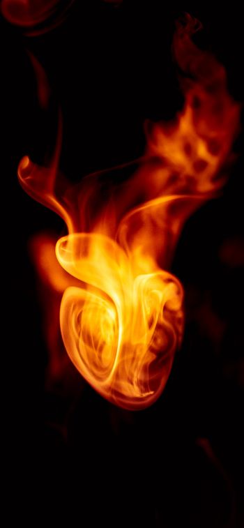 flame, bright, fire Wallpaper 828x1792