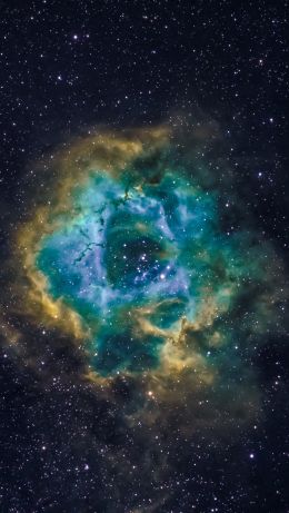 nebula, astronomy, stars Wallpaper 640x1136