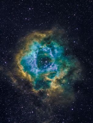 nebula, astronomy, stars Wallpaper 1668x2224