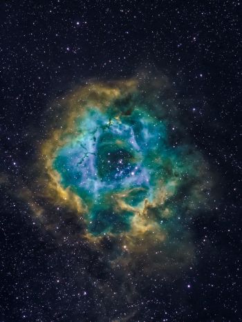 nebula, astronomy, stars Wallpaper 1620x2160