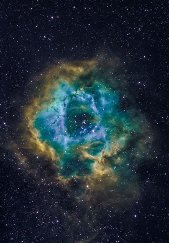 nebula, astronomy, stars Wallpaper 1668x2388