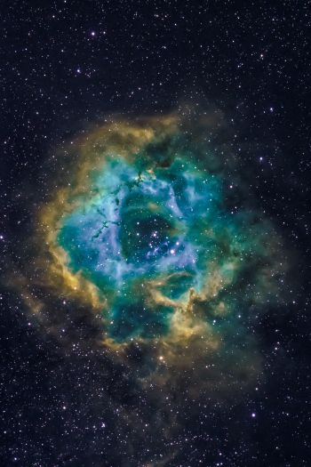 nebula, astronomy, stars Wallpaper 640x960