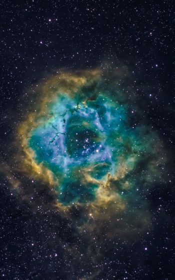 nebula, astronomy, stars Wallpaper 1752x2800