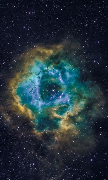 nebula, astronomy, stars Wallpaper 1200x2000