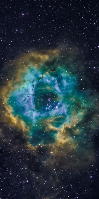 nebula, astronomy, stars Wallpaper 720x1440