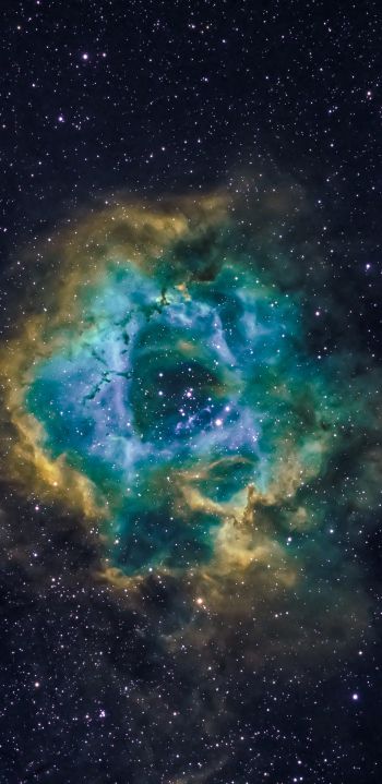 nebula, astronomy, stars Wallpaper 1440x2960