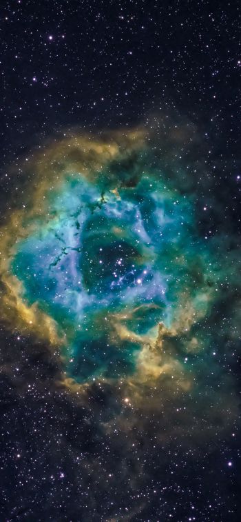nebula, astronomy, stars Wallpaper 1125x2436