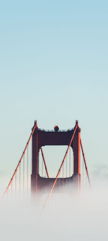 Обои 1440x3200 Мост Золотые Ворота, Сан-Франциско, США