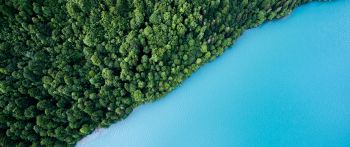top view, forest, lake Wallpaper 2560x1080