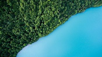 top view, forest, lake Wallpaper 1366x768