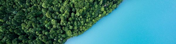 top view, forest, lake Wallpaper 1590x400