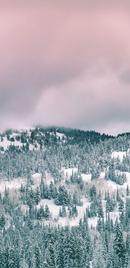 clouds, winter forest Wallpaper 1080x2220