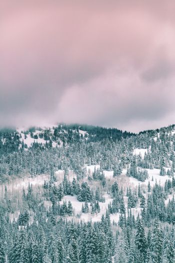 clouds, winter forest Wallpaper 640x960